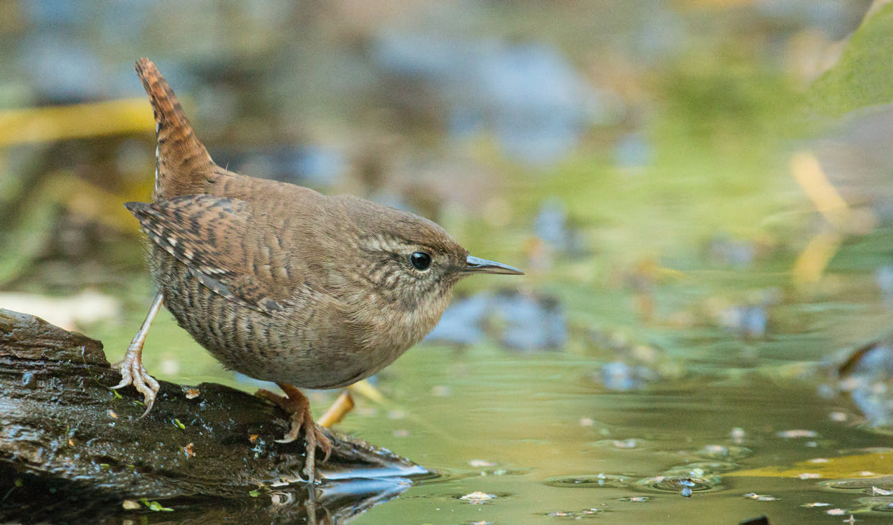 Werkgroep Contactavonden
