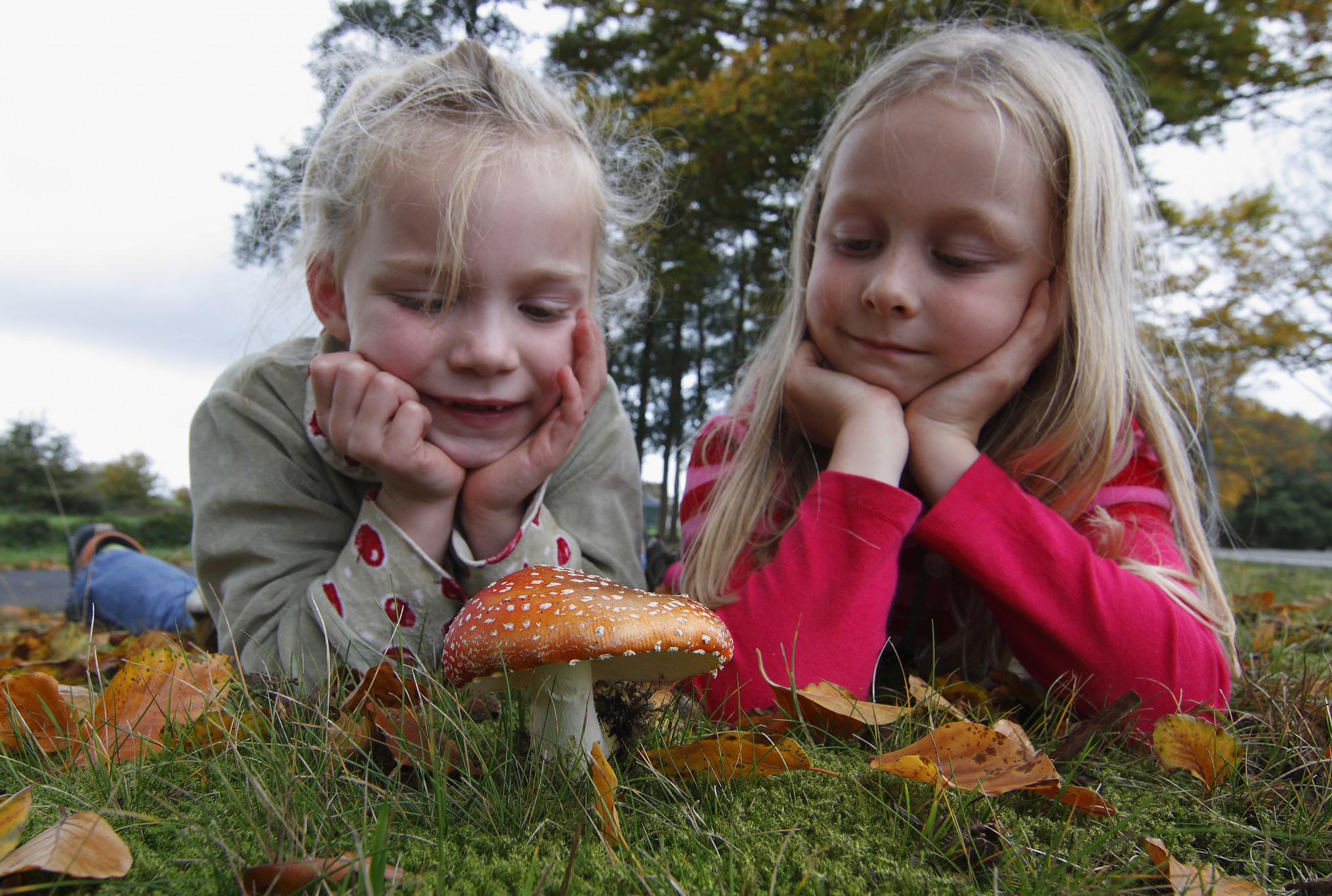 Twee jonge meisjes liggen op het gras met hun kin in hun hand, glimlachen en kijken aandachtig naar een rood-wit gevlekte paddenstoel omringd door herfstbladeren en groen mos.