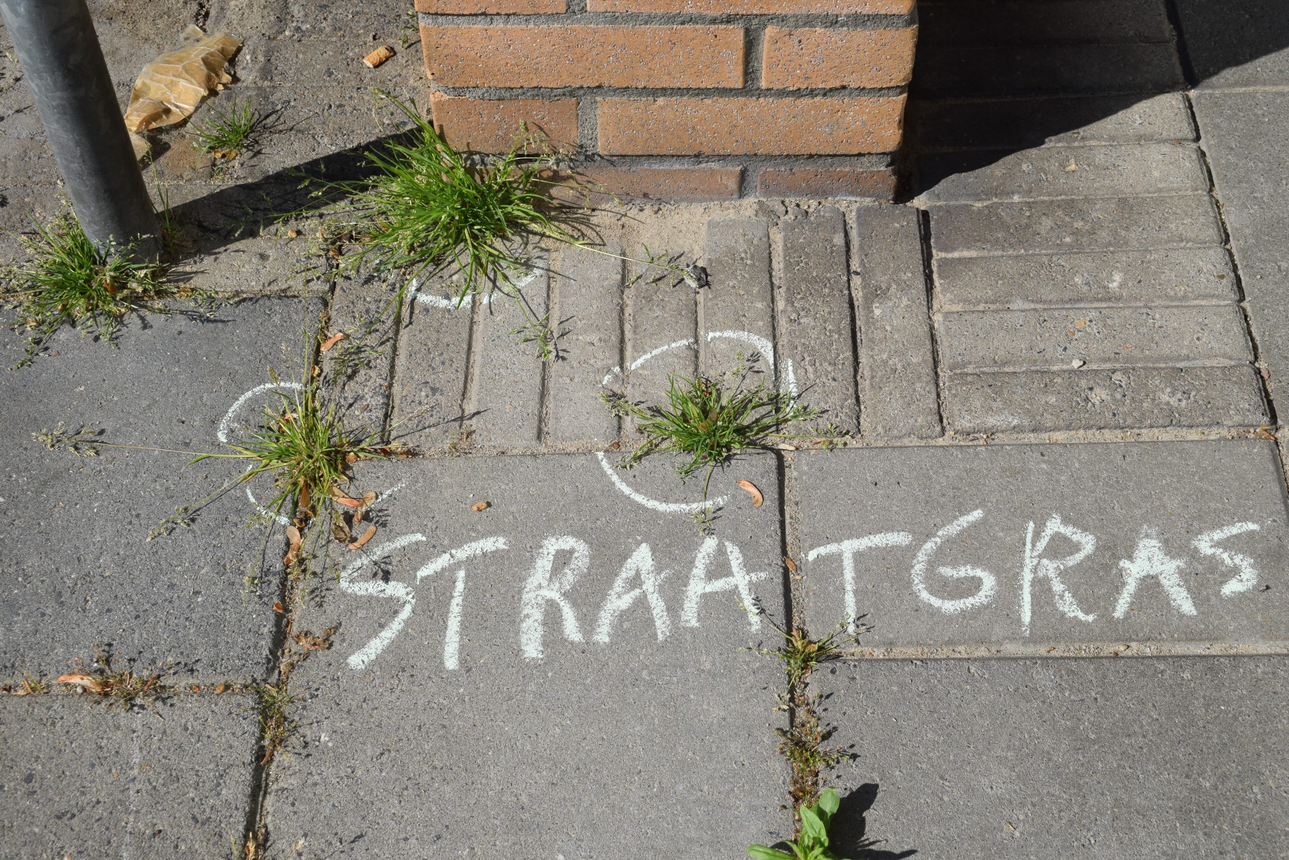 Botanisch stoepkrijten