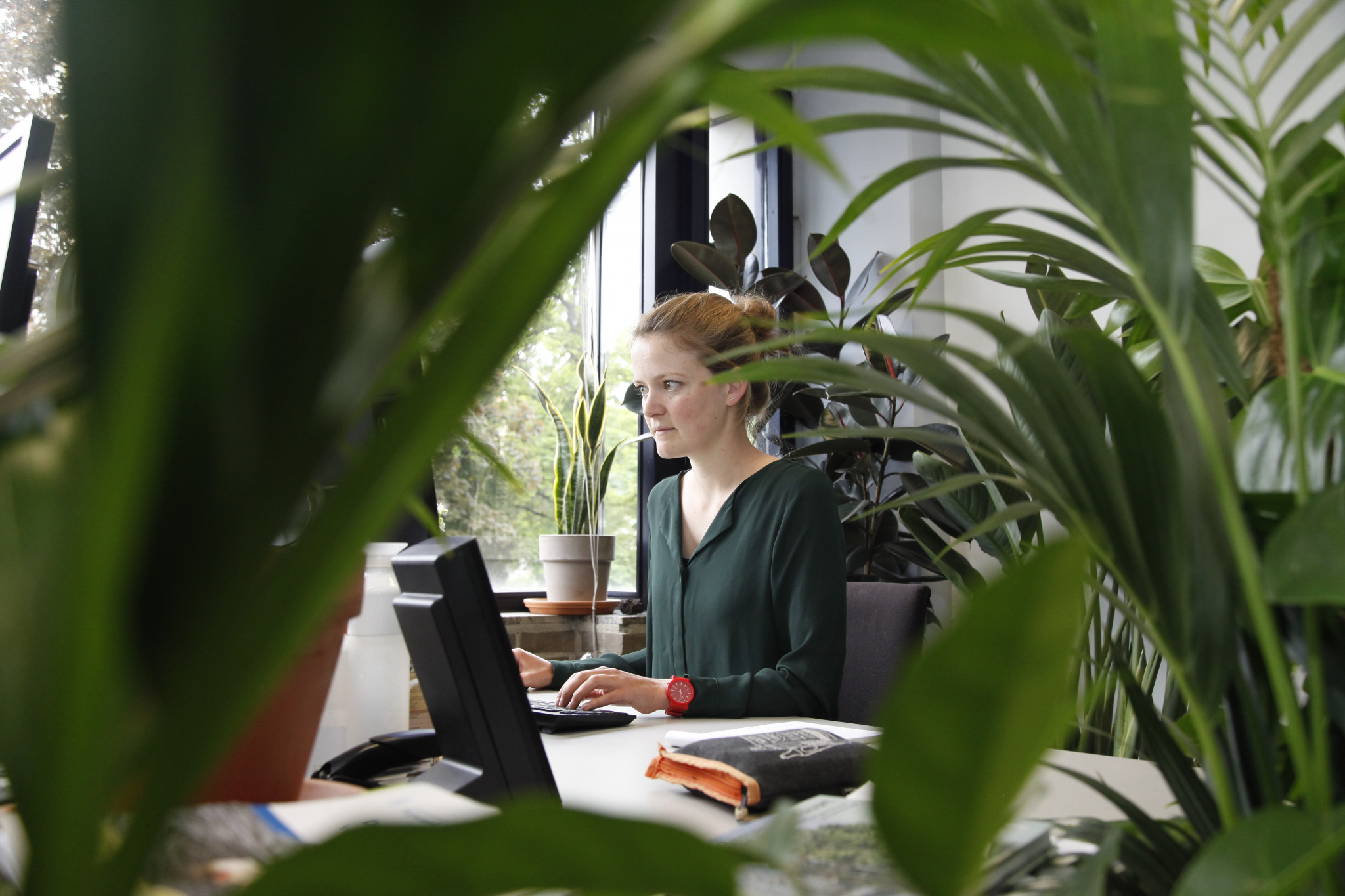 Maak van kantoortuin echt groene tuin voor welzijn werknemers