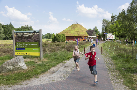 NP Dwingelderveld