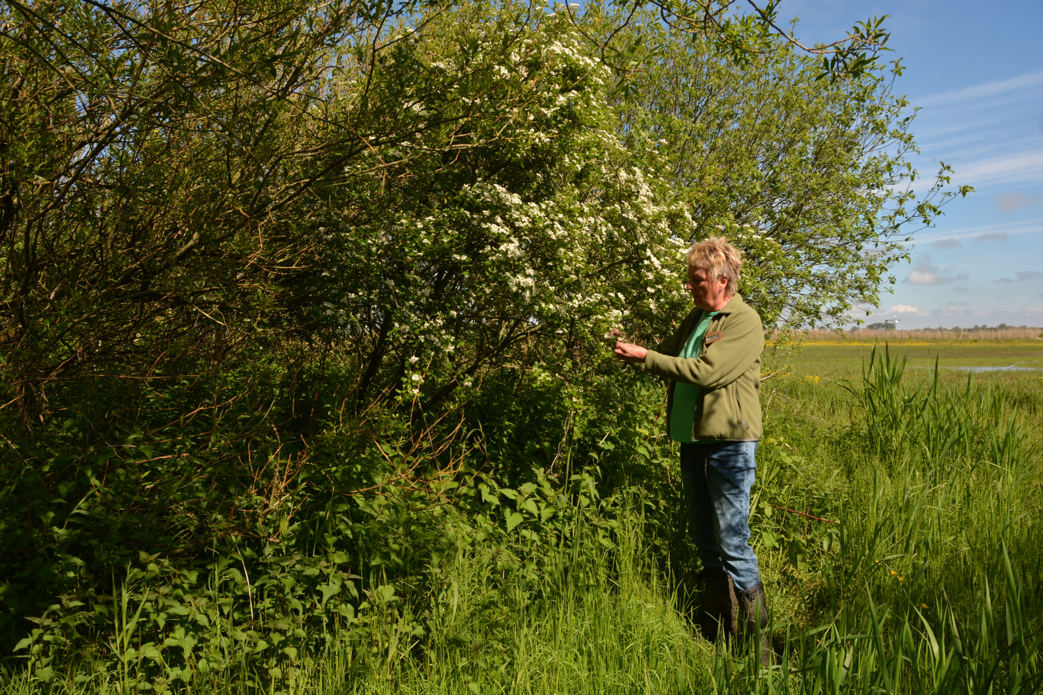 Op Padcast #6: Leer eetbare planten kennen met Janneke