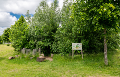 Groene bosrand met een informatiebord en een houten hek, omgeven door gras.