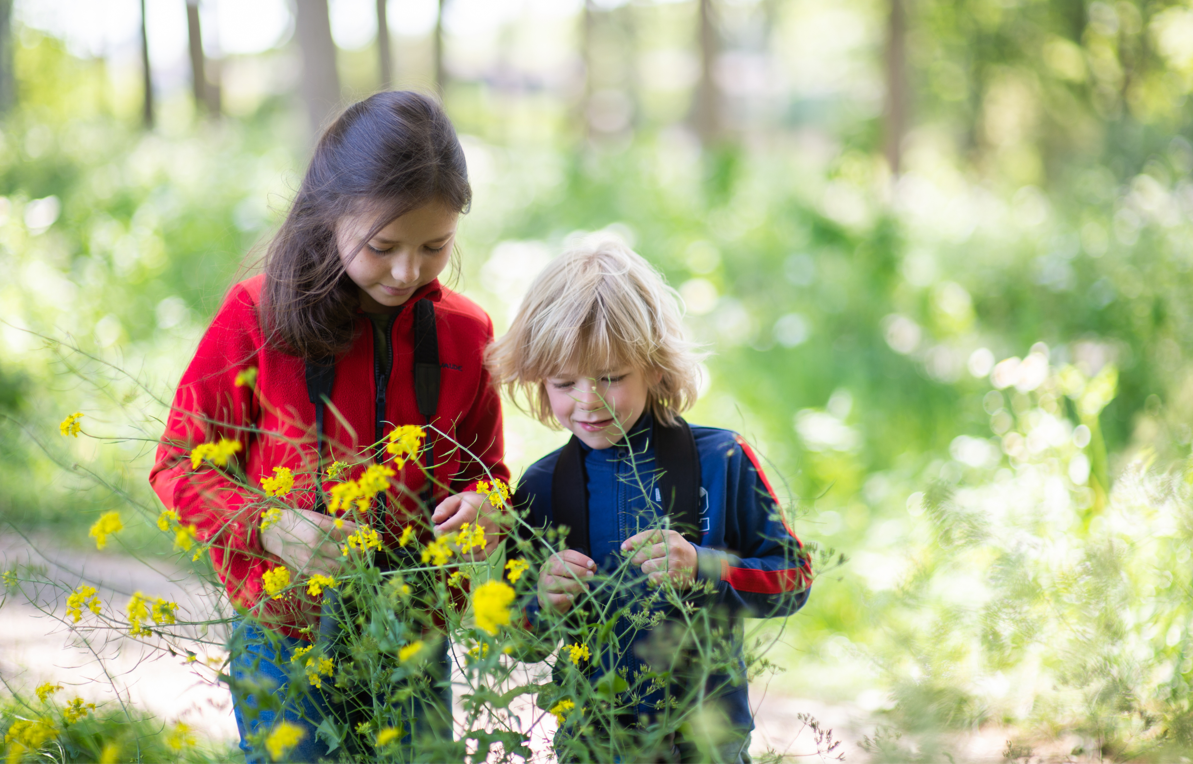 Twee kinderen, één met lang donker haar en één met blond haar, staan buiten in een zonnig, groen bos gele wilde bloemen te inspecteren. Beiden dragen een rugzak en lijken nieuwsgierig en bezig met de planten.