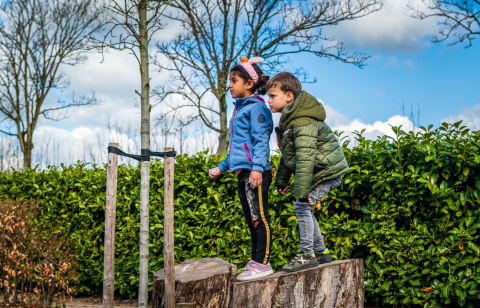 Twee jonge kinderen staan buiten op een grote boomstronk en kijken geconcentreerd voor zich uit. Ze dragen jassen en gympen, met bomen, struiken en een gedeeltelijk bewolkte lucht op de achtergrond.