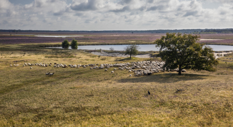 IVN Trektocht Drenthe