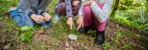Drie kinderen wijzen naar een paddenstoel op de bosgrond.