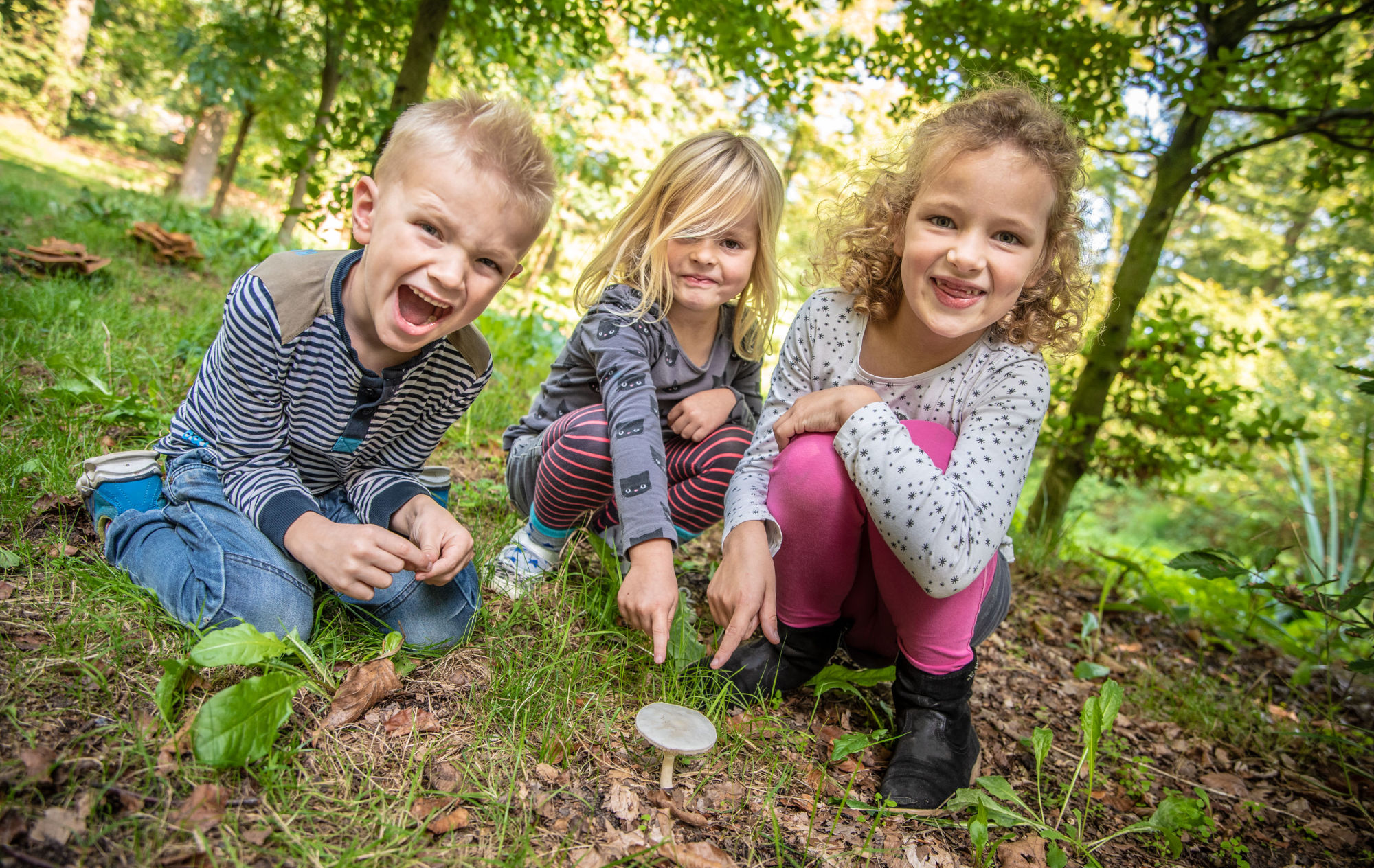Drie lachende kinderen in het bos, wijzend naar een paddenstoel op de grond.