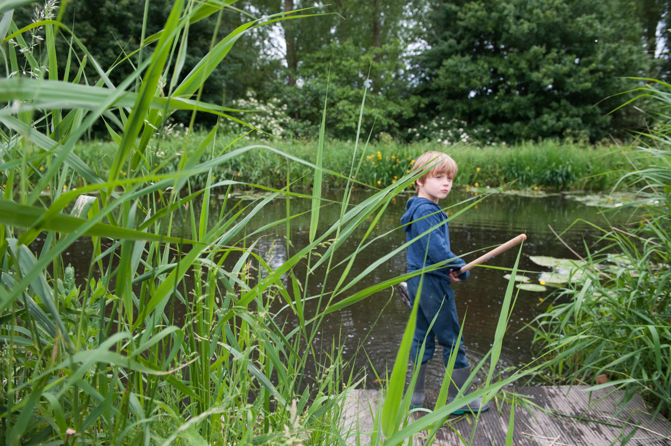 Waterplanten