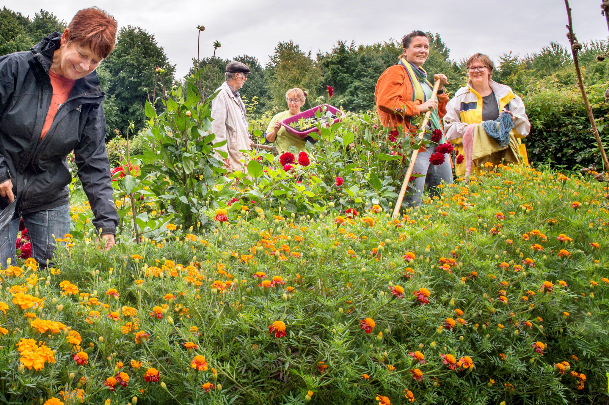 Zet die groene golf in!