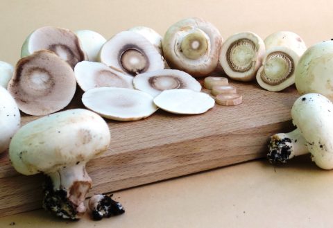 Doe-tip: Kweek je eigen champignons