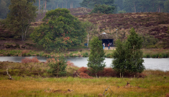 NP De Maasduinen