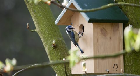 Help de dieren de winter door