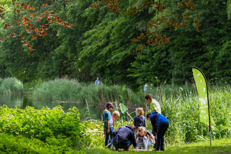 Kinderen en een volwassene bestuderen de natuur bij een vijver, omgeven door groen.