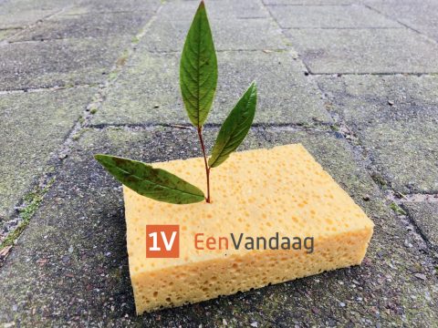 Maak van je tuin een Sponstuin