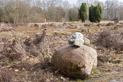 Steenmannetjes Nationaal Park Dwingelderveld