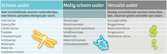 Tabel waterdiertjes slootjes