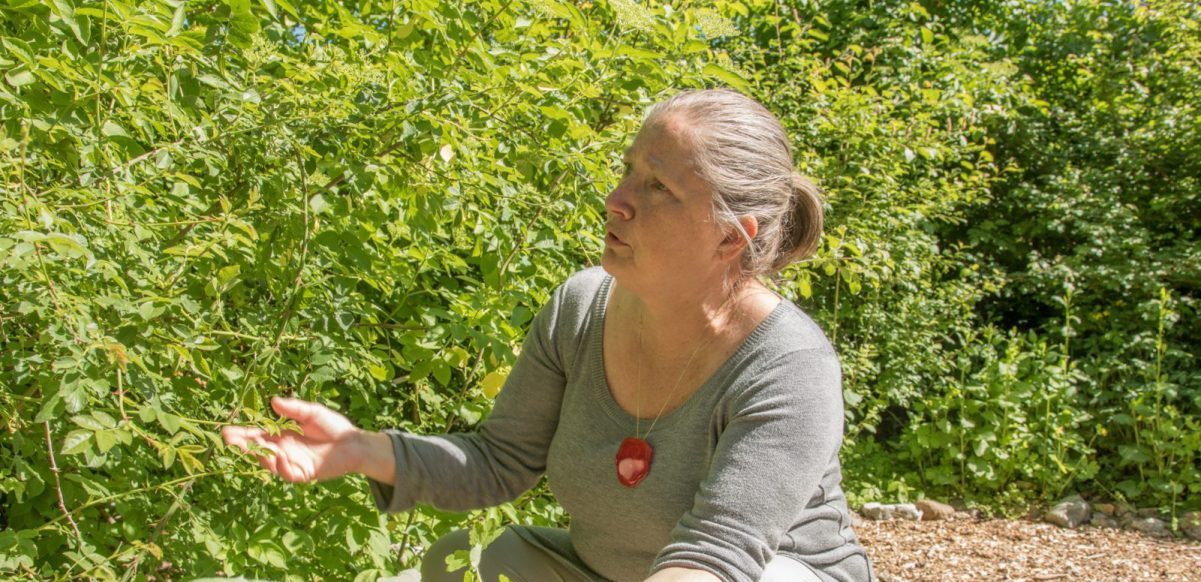 Red de natuur met je eigen minibos