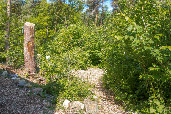 Tiny Forest Tuin Karin van Toor