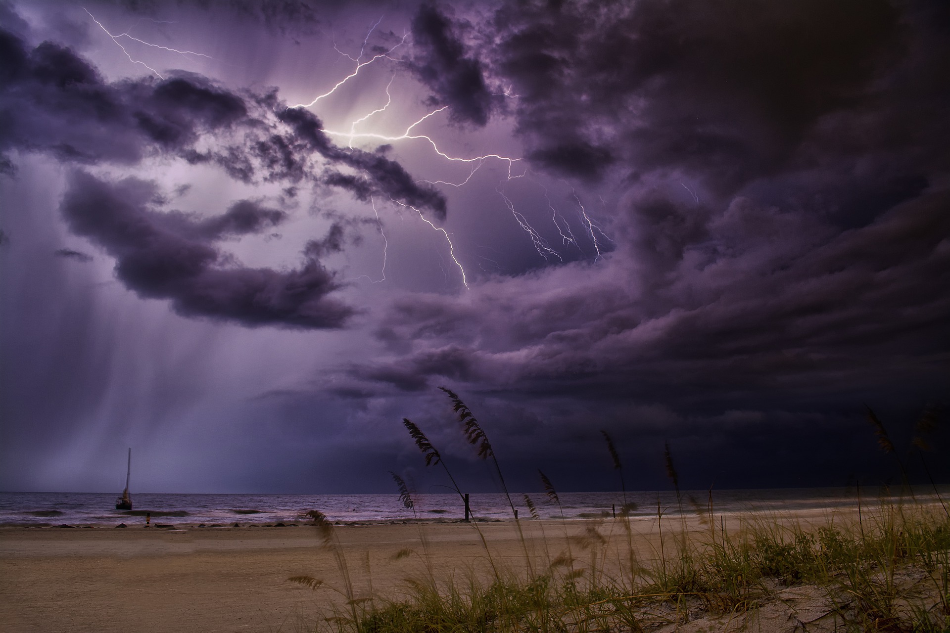 Temperatuur meten met krekels en meer leuke feitjes over regen en onweer!