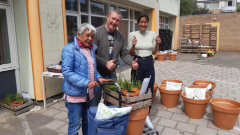 Biologische plantenpakketten voor balkoneigenaren in de Muziekbuurt
