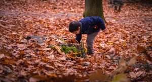 Trainingsaanbod ‘Met Kinderen de Natuur in’