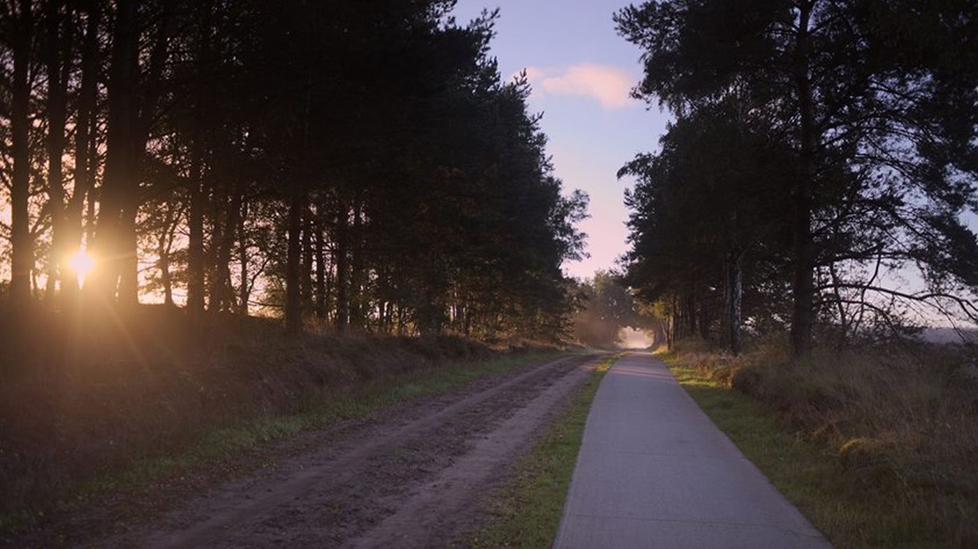 3 manieren om aandachtig te luisteren in de natuur