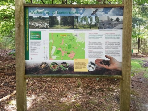 Informatiebord Loenermark