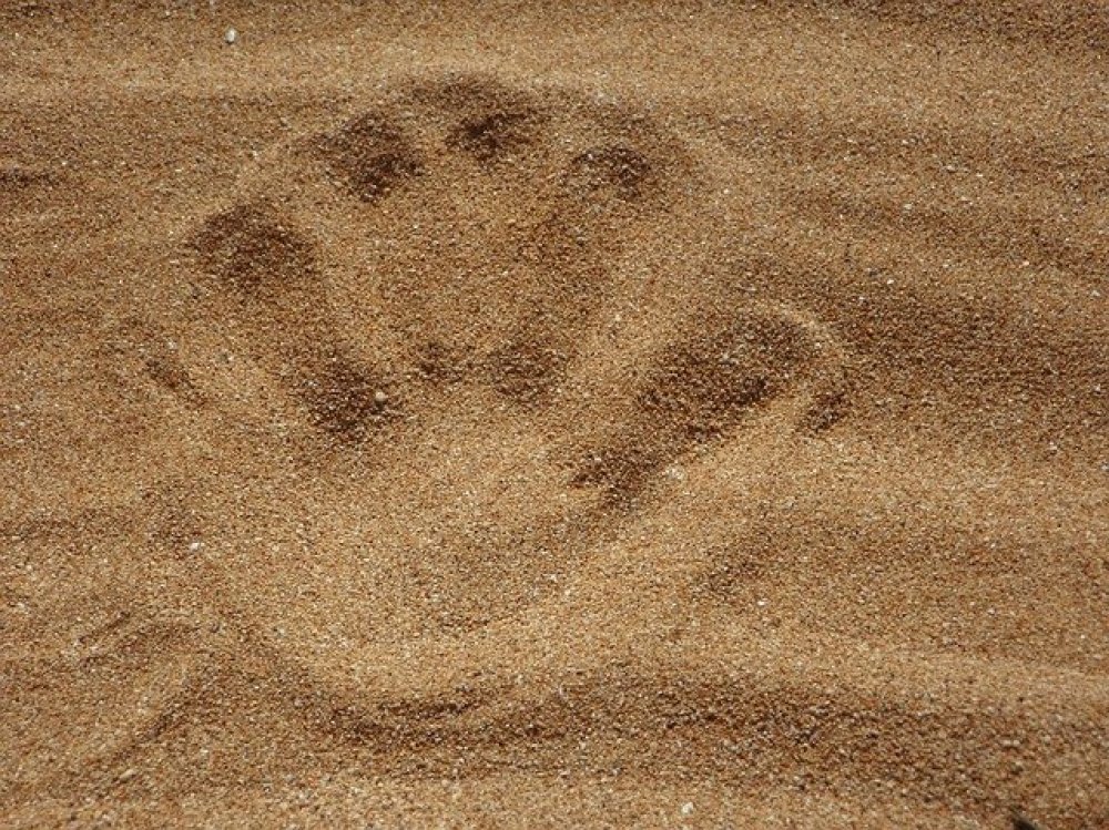 Zand
