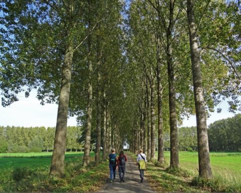 Best Bijzondere IVN-wandelingen