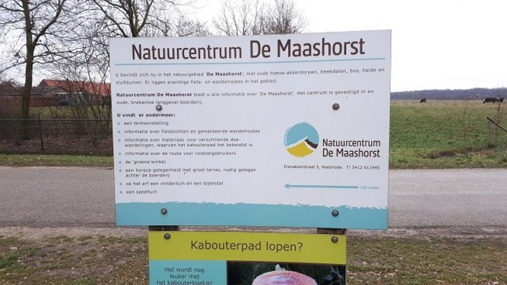Startpunt