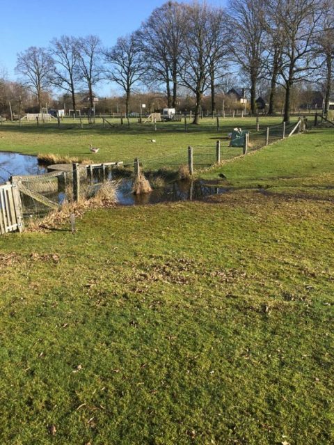Natuur en Oldenzaal