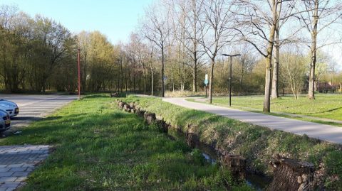 Startpunt