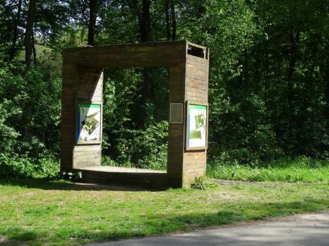 Start en finisch