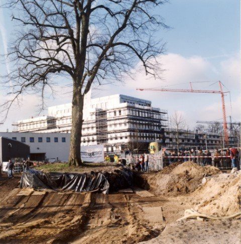 Koningslinde