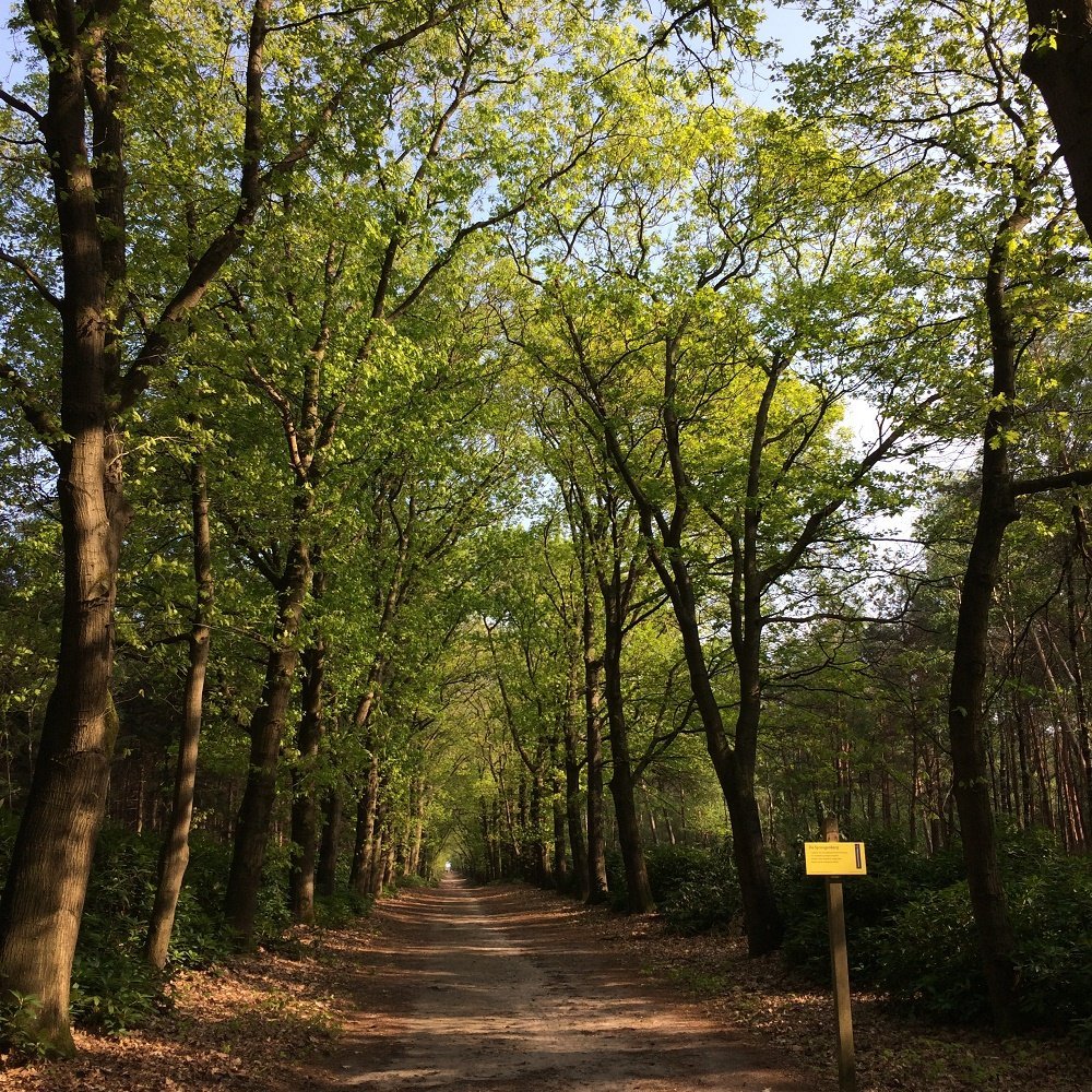 Welkom op de Sprengenberg!