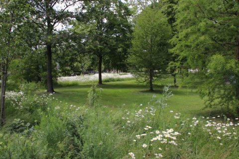 Natuur in Oldenzaal