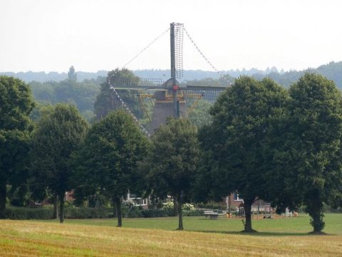 Panorama