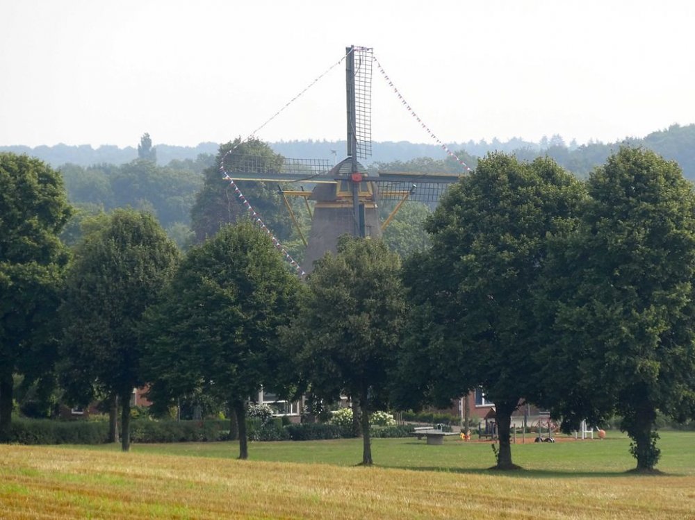 Panorama