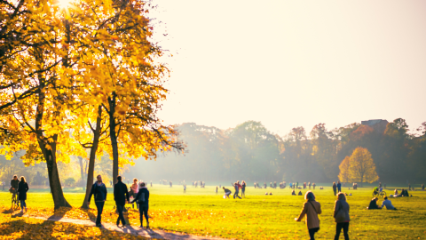 Herfst park met zonneschijn, veel mensen wandelen en fietsen tussen de bomen met gele bladeren.