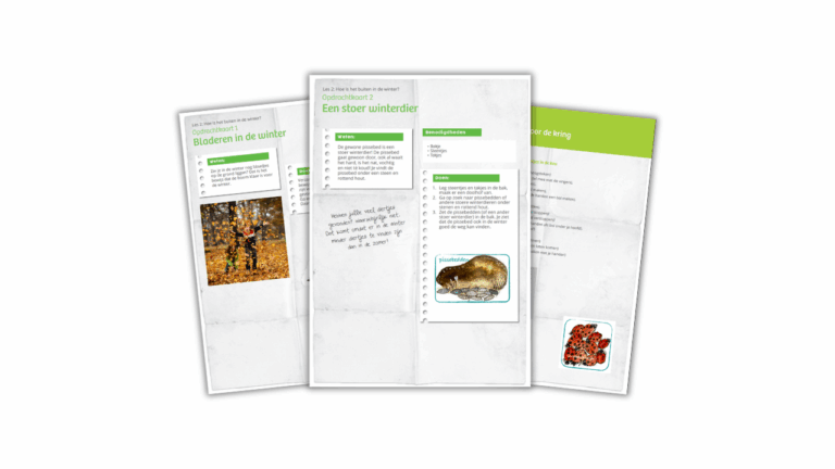 Drie educatieve kaarten over winter en natuur, met teksten en foto's van bladeren, dieren en insecten.