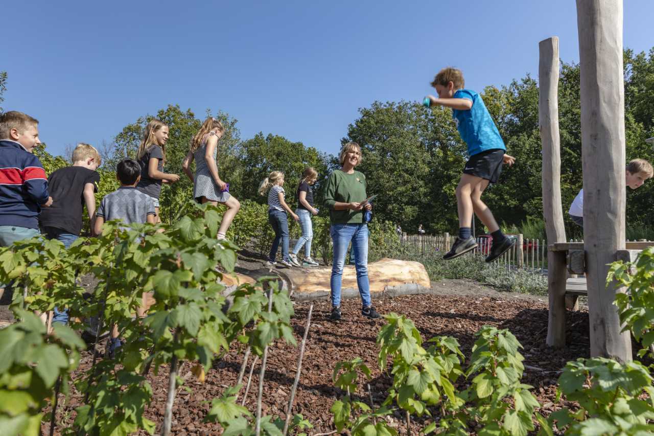 Oog voor een gezonde leefstijl en gezonde leefomgeving voor kinderen en jongeren in het nieuwe regeerakkoord