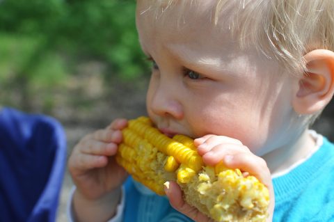 Inspiratiesessie Jong Leren Eten in de Kinderopvang