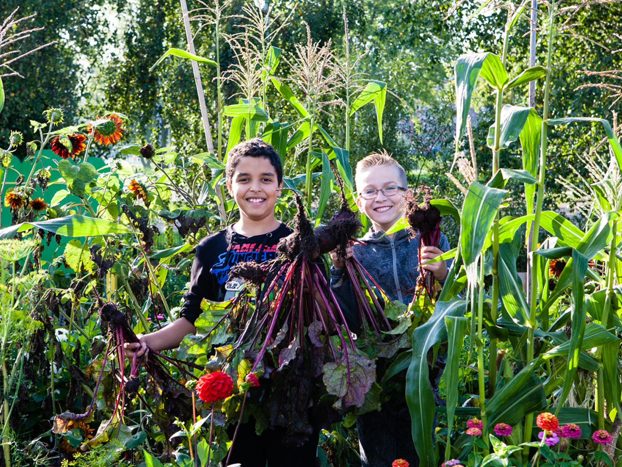 Schoolmoestuin in strijd tegen fastfoodlunch
