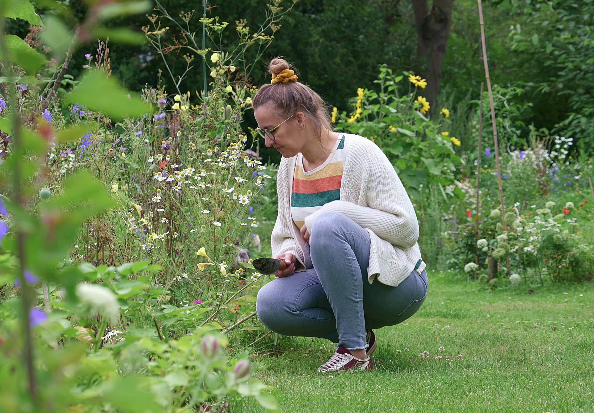 Geniet op vakantie van olijfbomen, maar plant gewoon Nederlandse natuur in je tuin