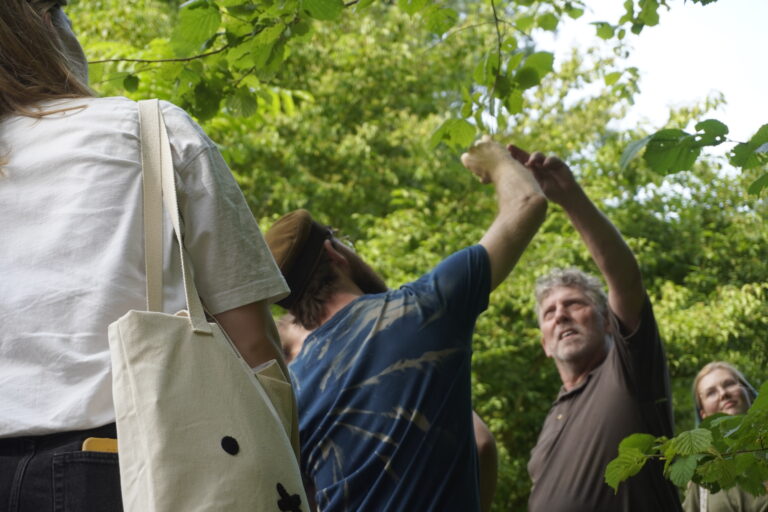 Een groep mensen observeert bladeren in een groene, bosachtige omgeving.