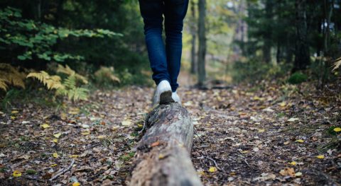 Ook natuur moet meegenomen worden in preventieplannen zorg