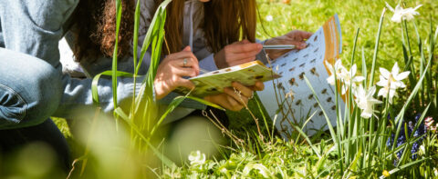 Twee personen bestuderen veldgidsen en bloemen in een zonnige tuin.