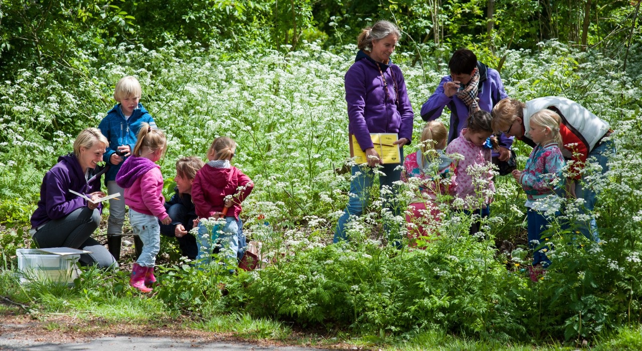 Natuuronderwijs? Reken er maar niet op