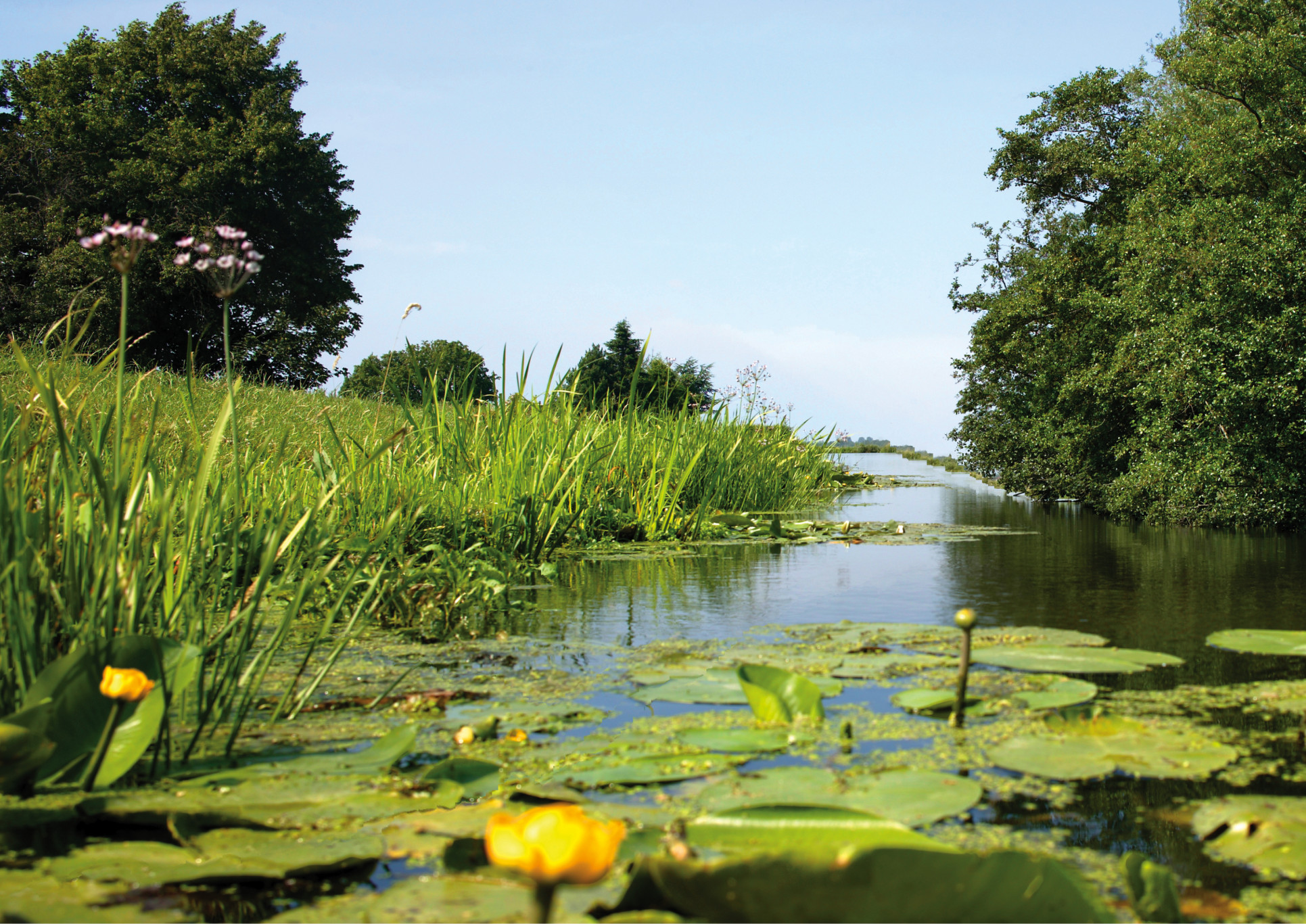 Bestuurswissel bij IVN District Limburg